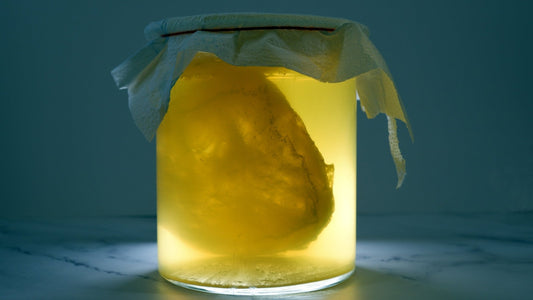 Kombucha Ciupercă - Calitate superioară - Gut2beKombucha Ciupercă - Calitate superioarăKombucha CiupercaGut2beGut2be