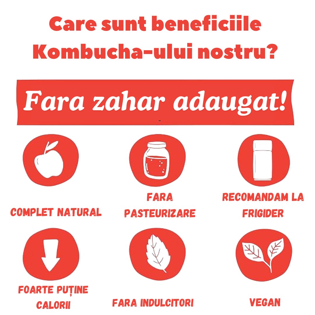 Kombucha Coacăz Negru - Set de 12x330ml - Gut2beKombucha Coacăz Negru - Set de 12x330mlGut2beGut2be