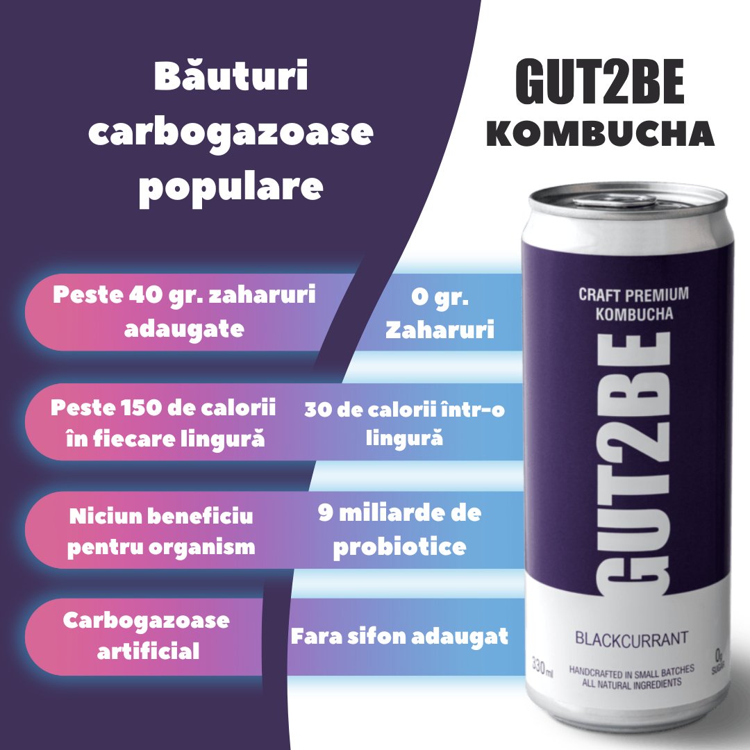 Kombucha Coacăz Negru - Set de 12x330ml - Gut2beKombucha Coacăz Negru - Set de 12x330mlGut2beGut2be